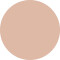 vfx pro camera ready foundation 00 alabaster